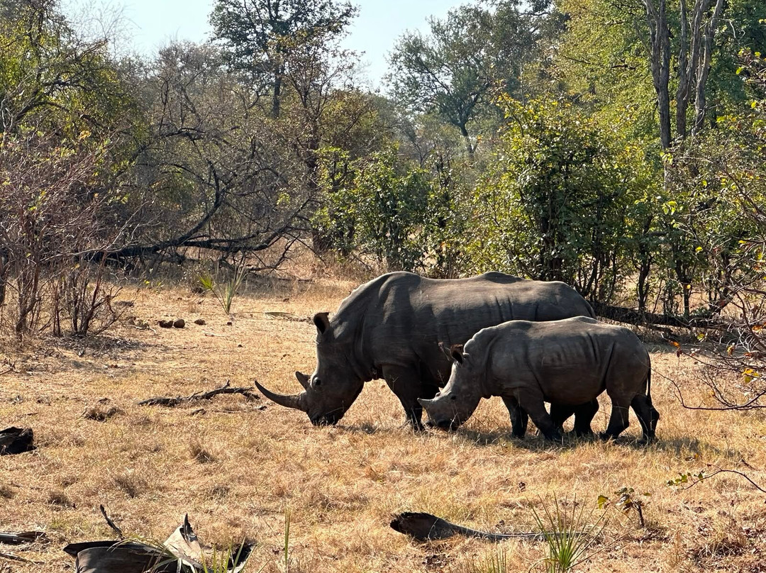Zamsato - Zambia Safaris & Adventours-李文斯顿必去景点