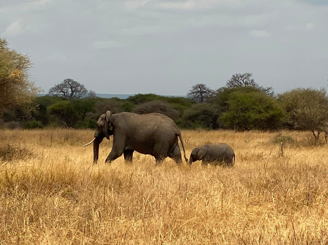 Sereland Africa Safaris-Sakina必去景点