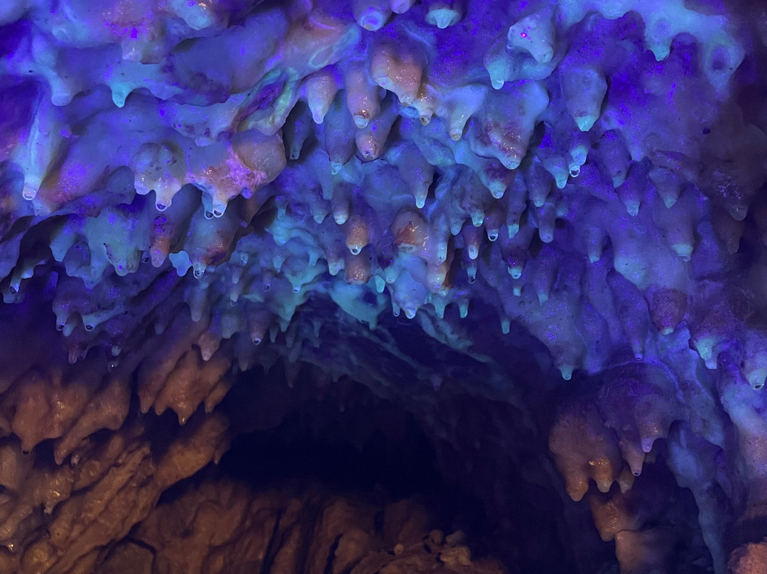 Stump Cross Caverns-Pateley Bridge必去景点