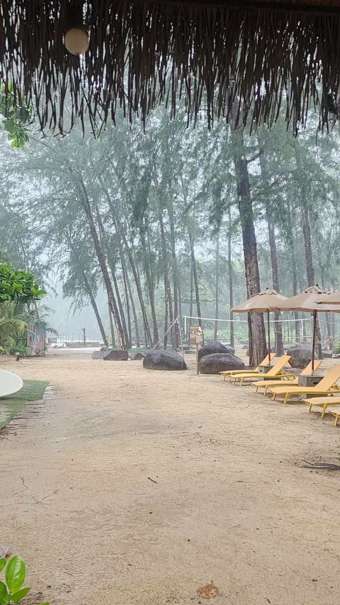 卡利马考拉海滨度假别墅酒店-旅行者