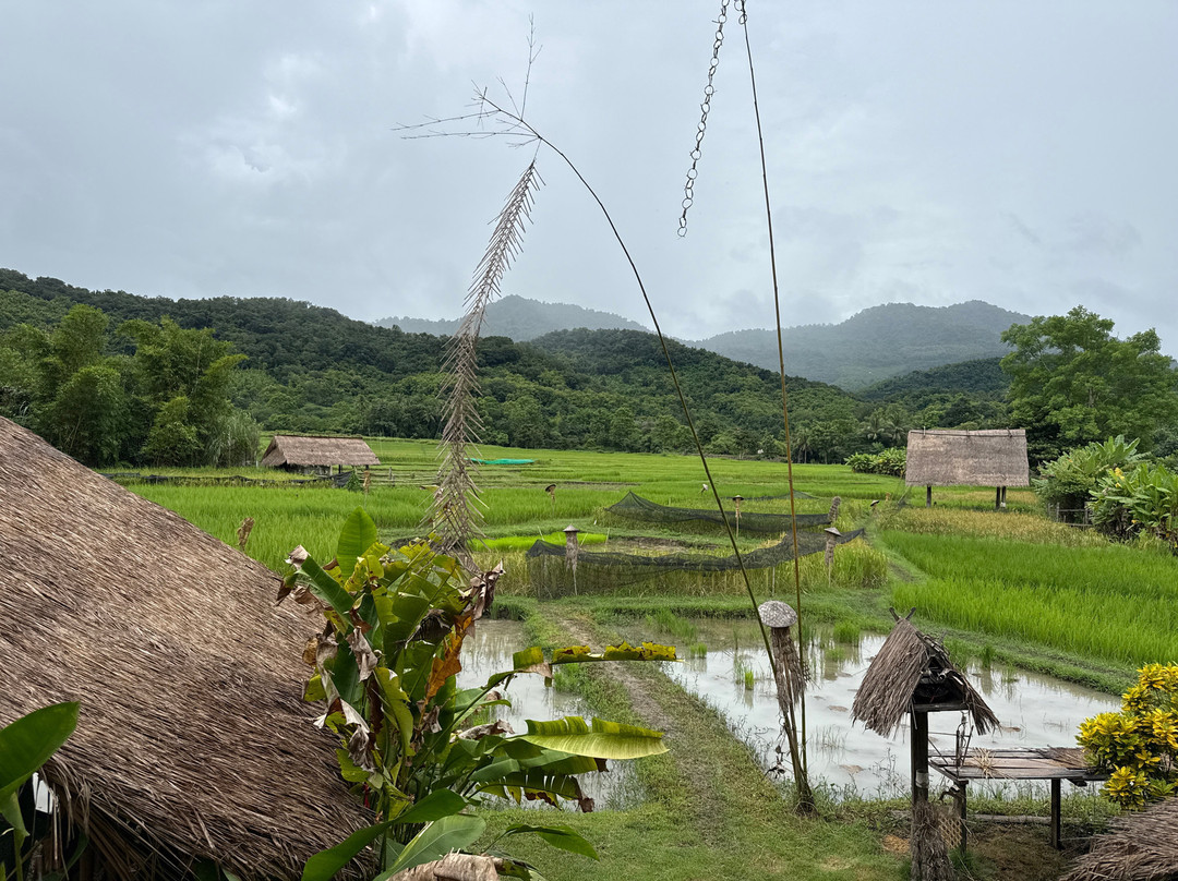 Living Land农场体验之旅-琅勃拉邦必去景点