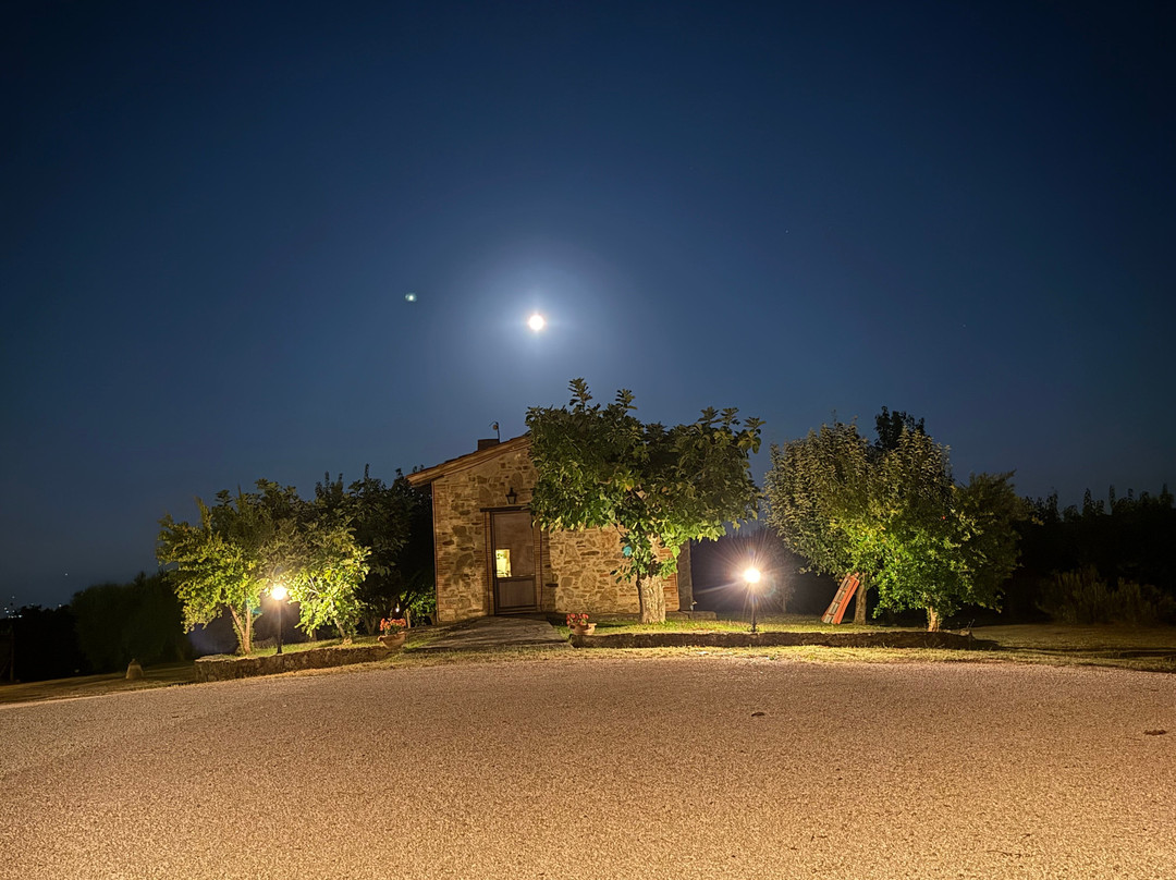 Casale di Buccole主图