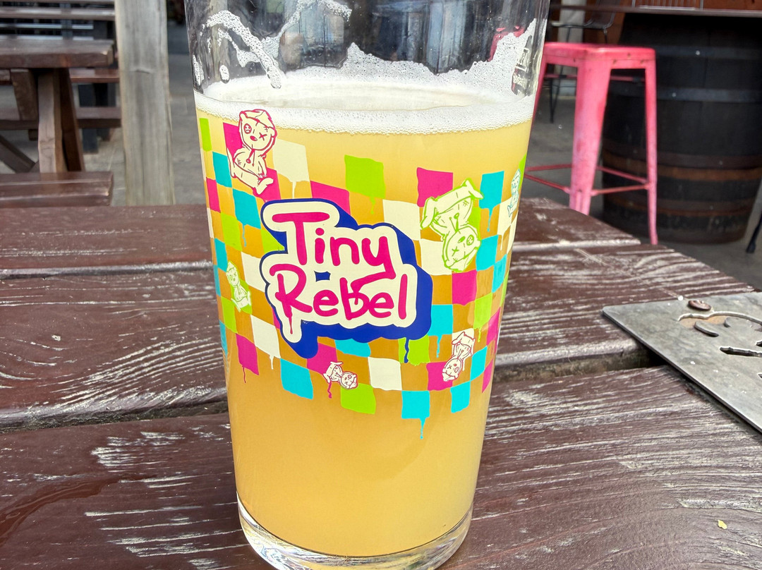 Tiny Rebel-Rogerstone必去景点