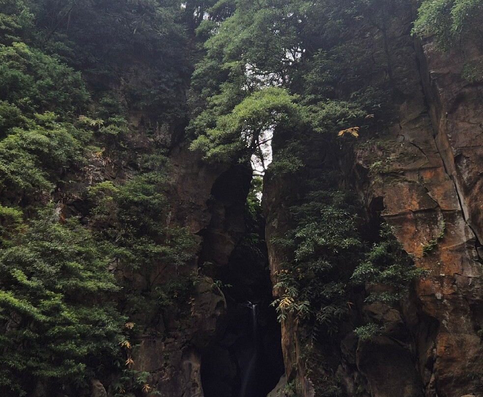 Green Corner Tours-Faja de Baixo必去景点