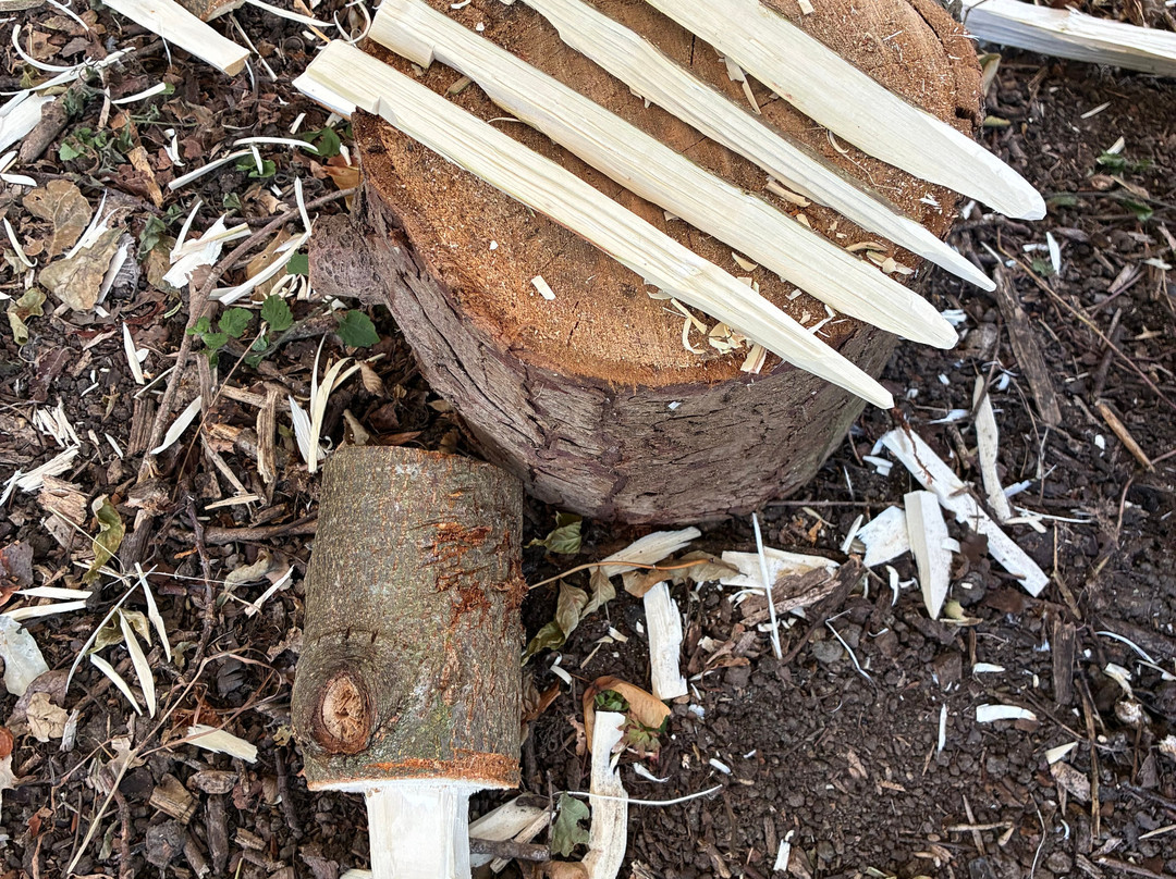 Wild Bushcraft Company-Corwen必去景点