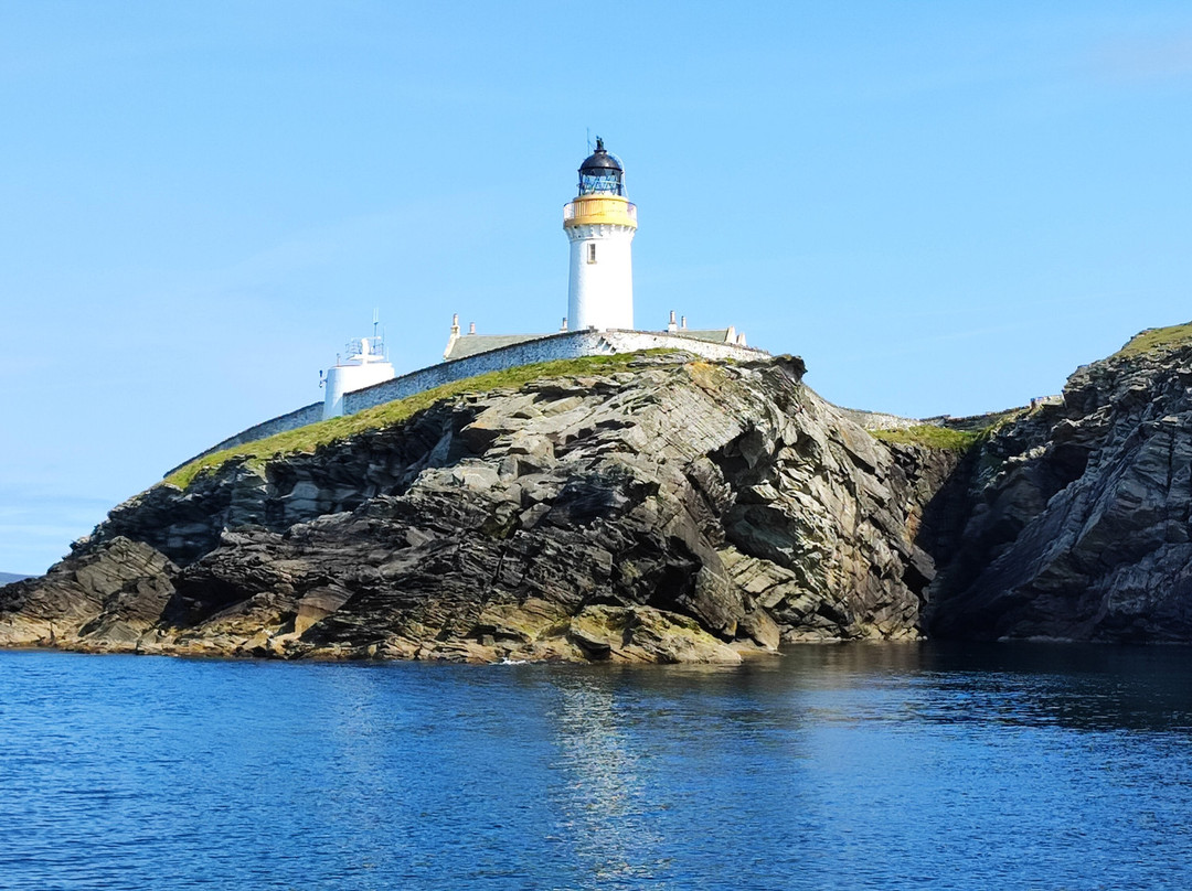 Seabirds and Seals - The Original Noss Boat Tours-Lerwick必去景点