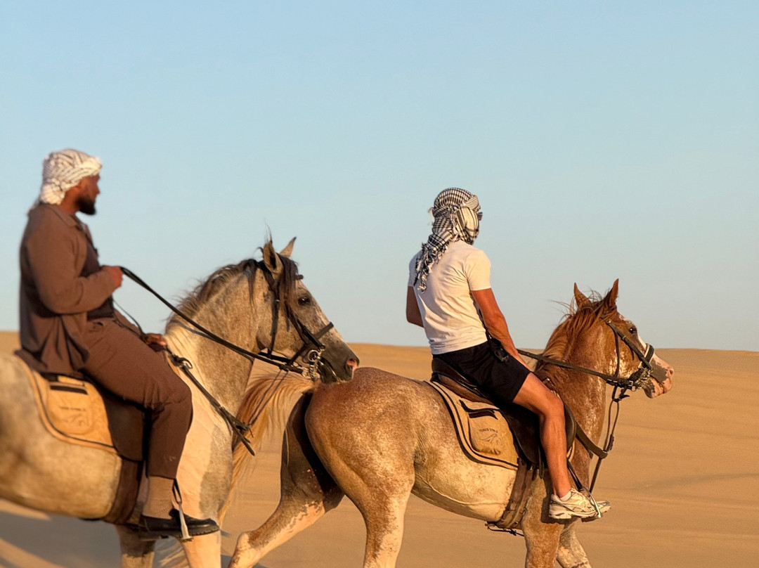 Horse Trips Egypt-Tunis必去景点