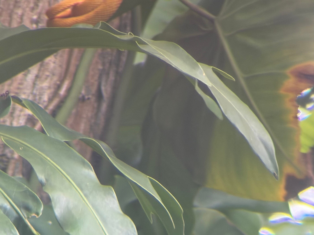 Cahuita Tours-卡维塔必去景点