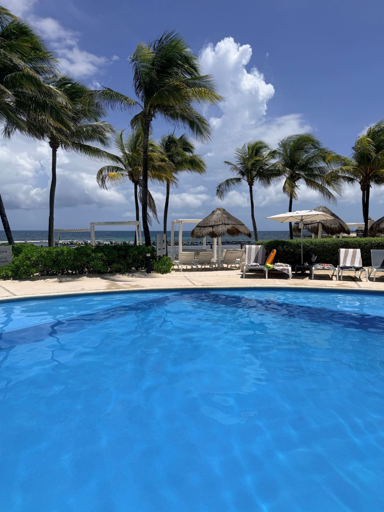 Catalonia Yucatan Beach - All Inclusive-泳池