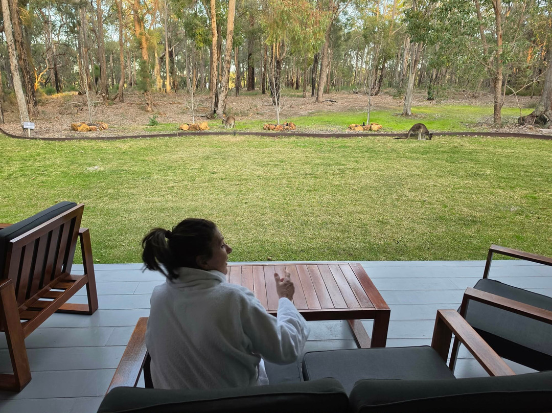 The Lounge at Amaroo