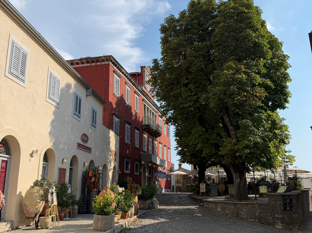 Hilltop Walled Ancient City of Motovun-Motovun必去景点
