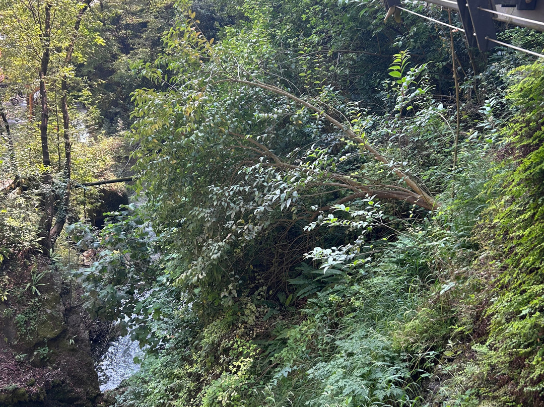 Cascate del Varone-Tenno必去景点