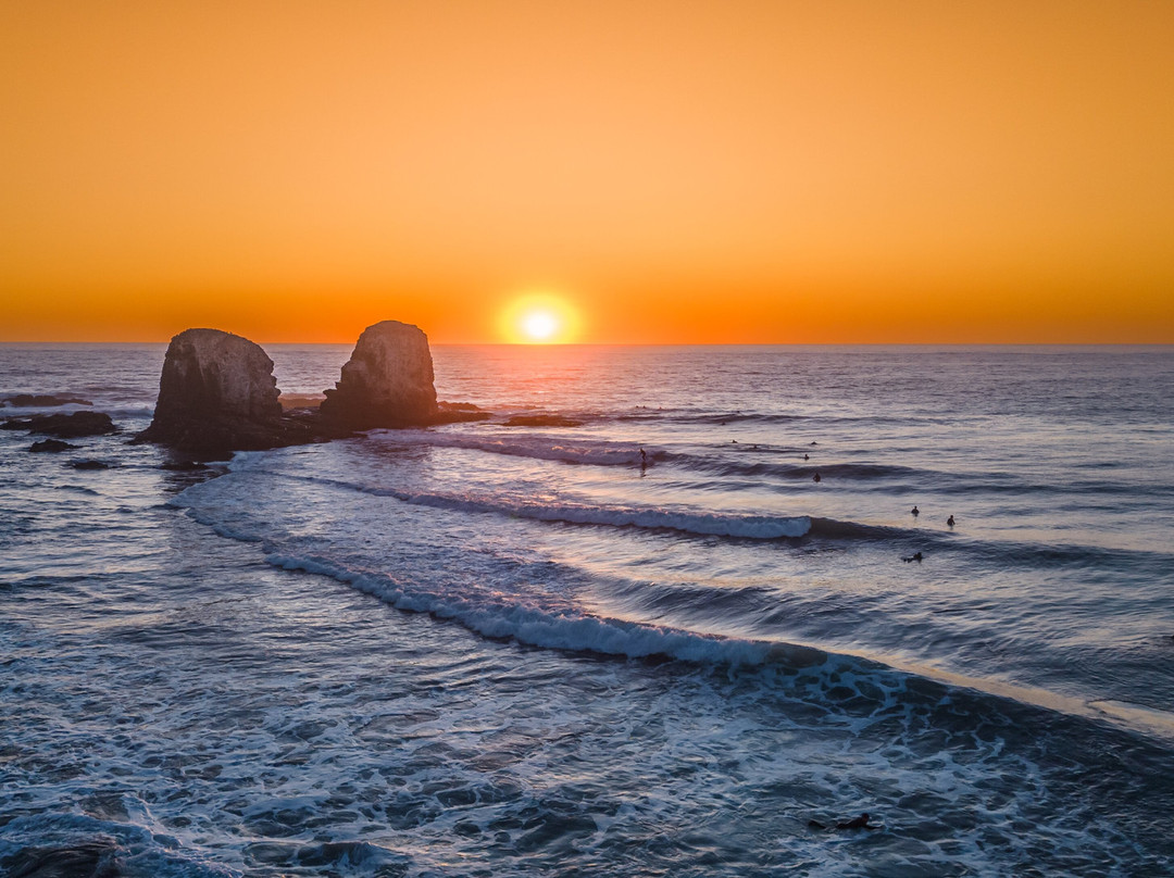 Parque Punta De Lobos-皮钦勒姆必去景点