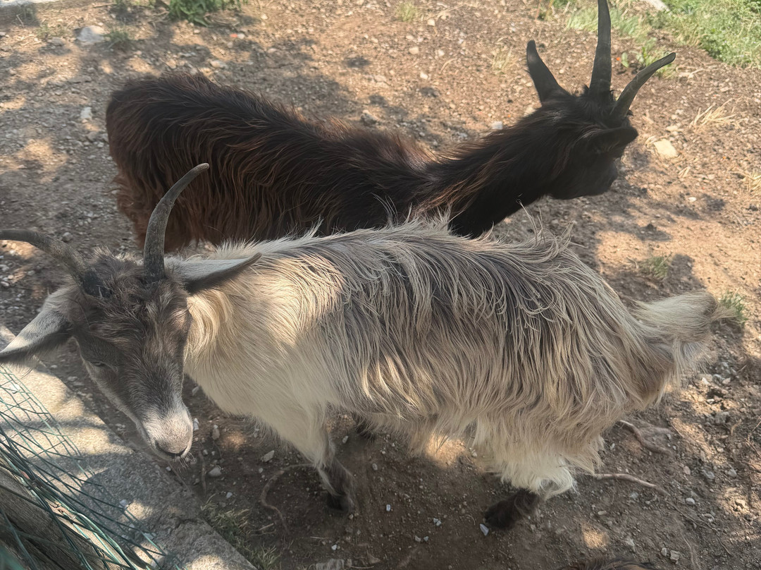 Agriturismo Ca' di Racc主图