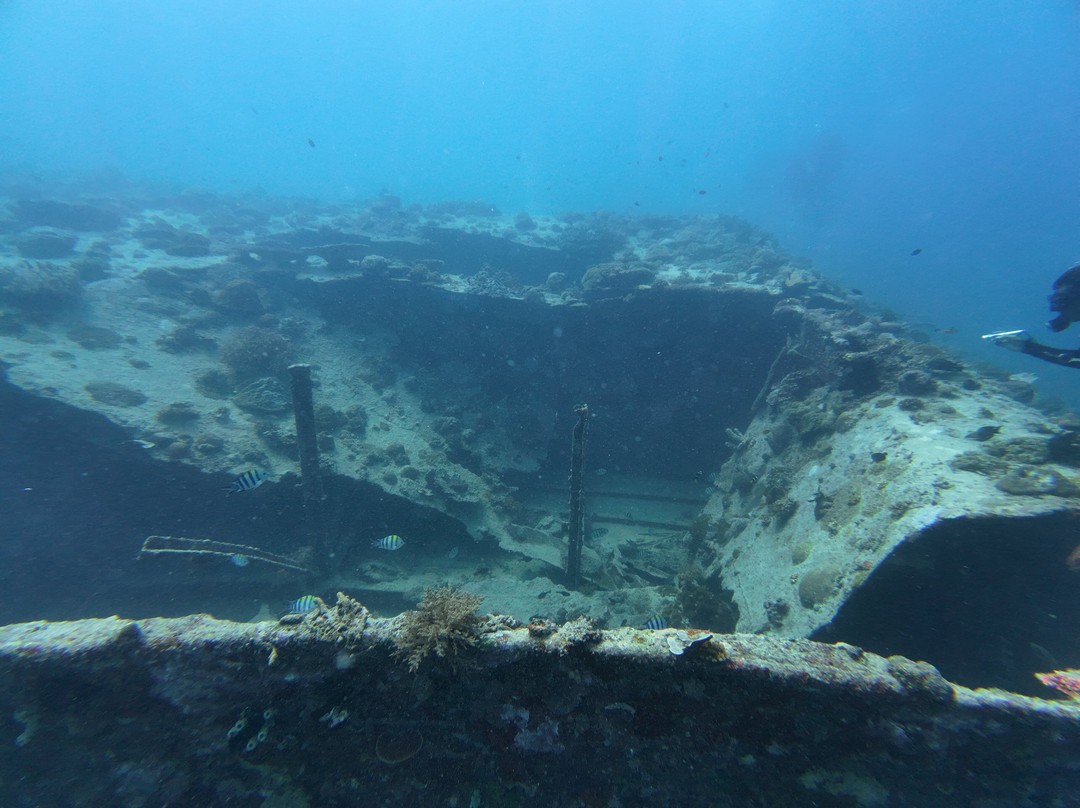Blue Marlin Dive Gili Air-Gili Air必去景点