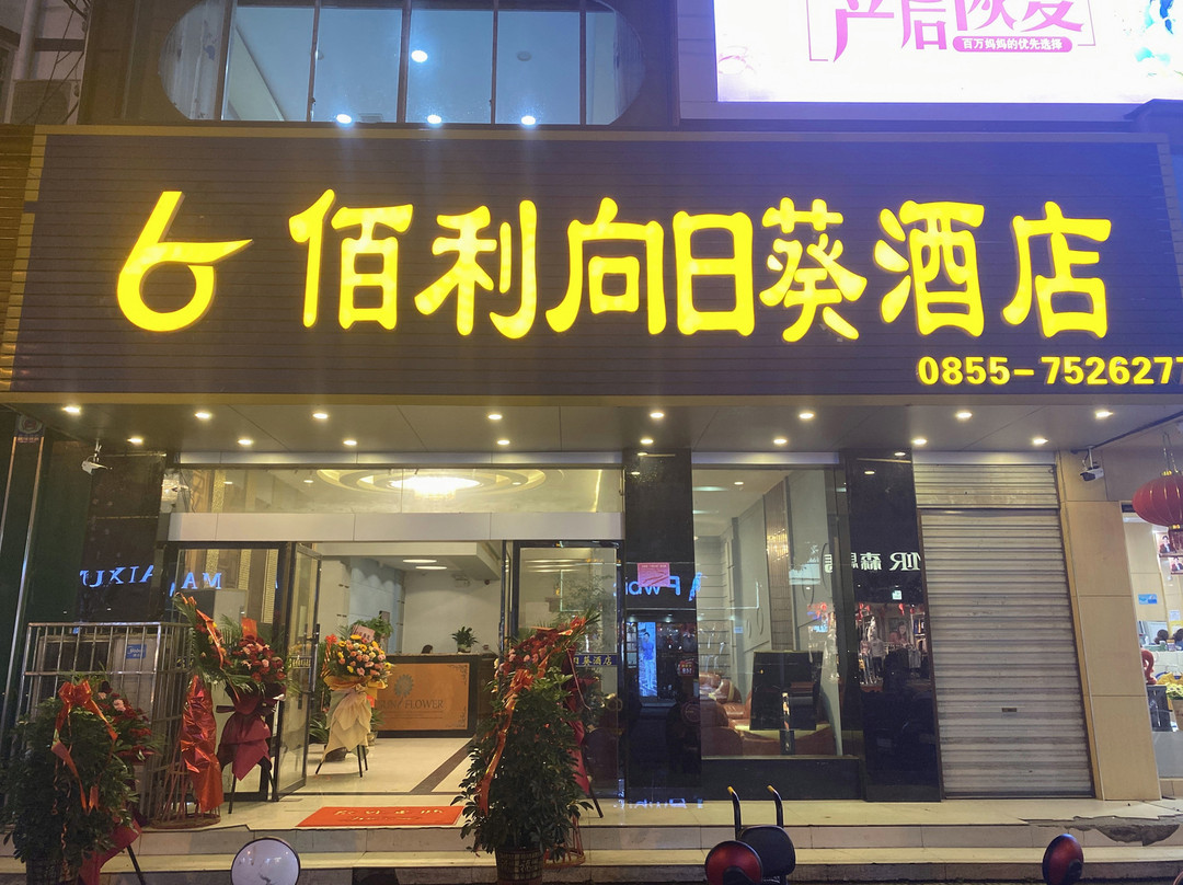 天柱向日葵东方酒店主图