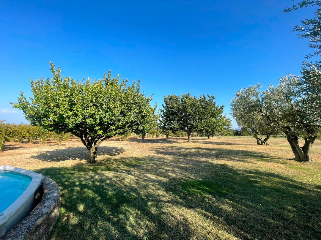 Agriturismo Casale Lisalola