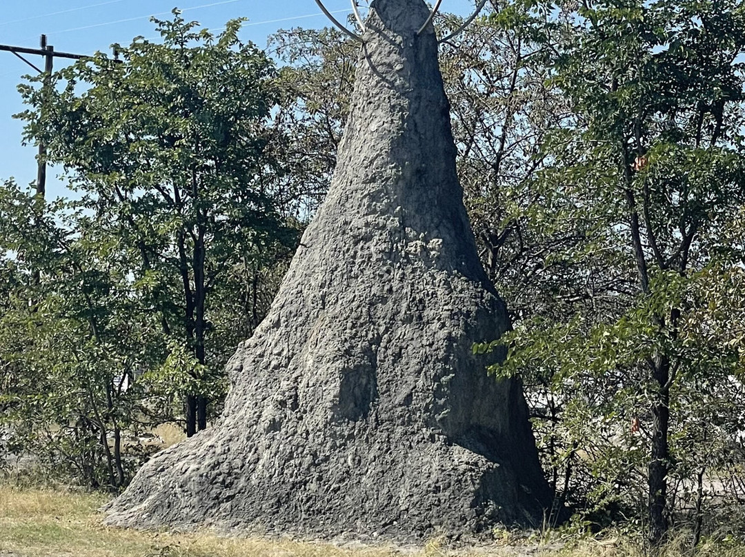 Planet Baobab-Gweta必去景点