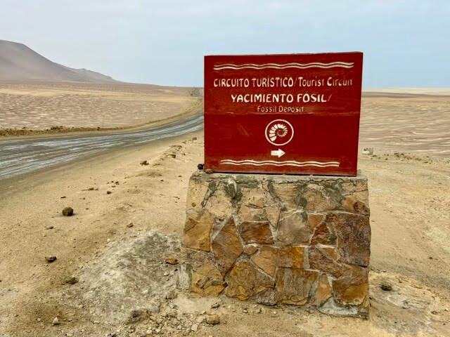 Paracas National Reserve-Ica Region必去景点