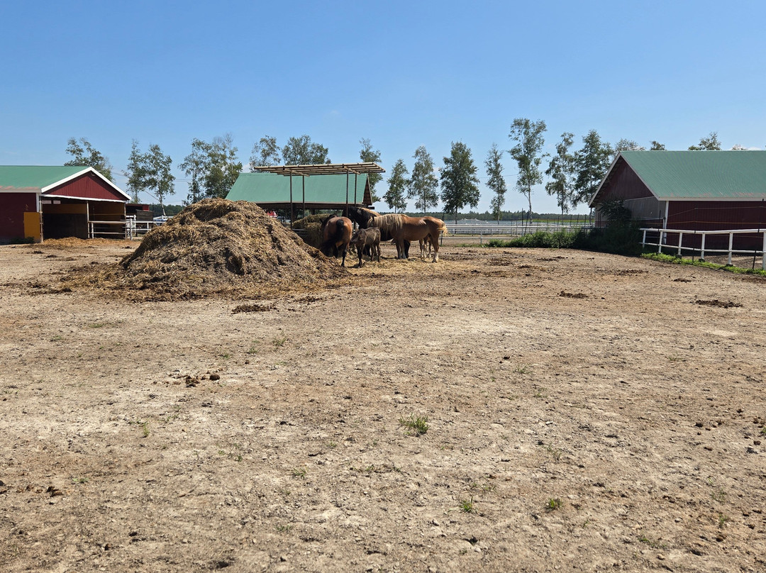 Banei Horse Ranch Tokachi-带广市必去景点