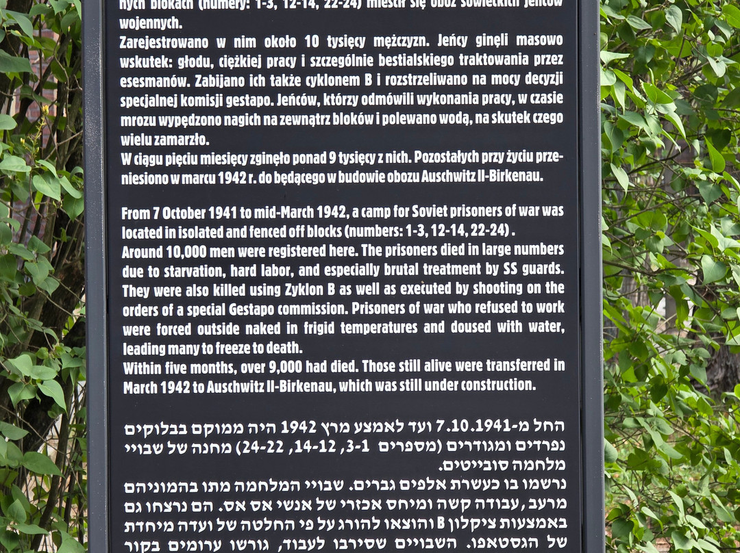 Krakow Auschwitz - Tours-克拉科夫必去景点