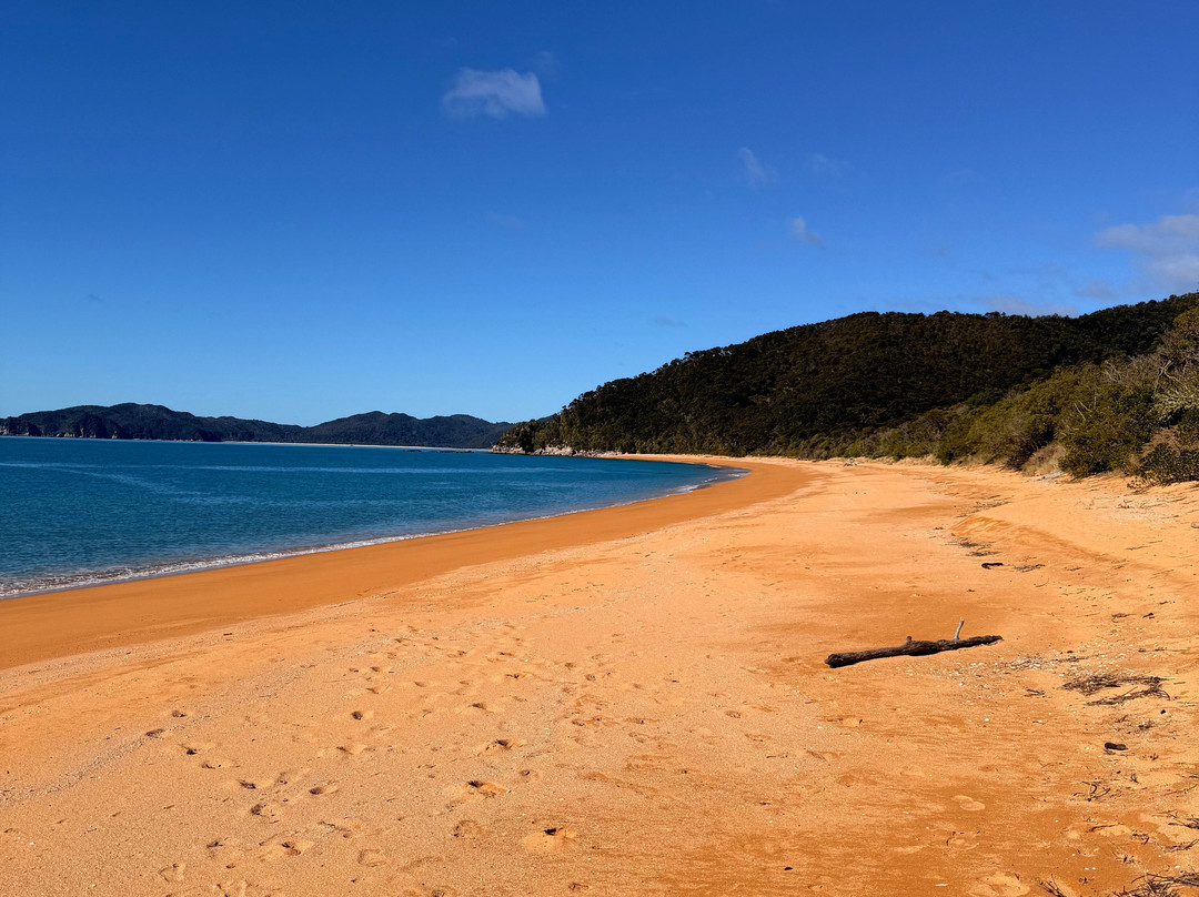 Abel Tasman Guides-玛拉豪必去景点