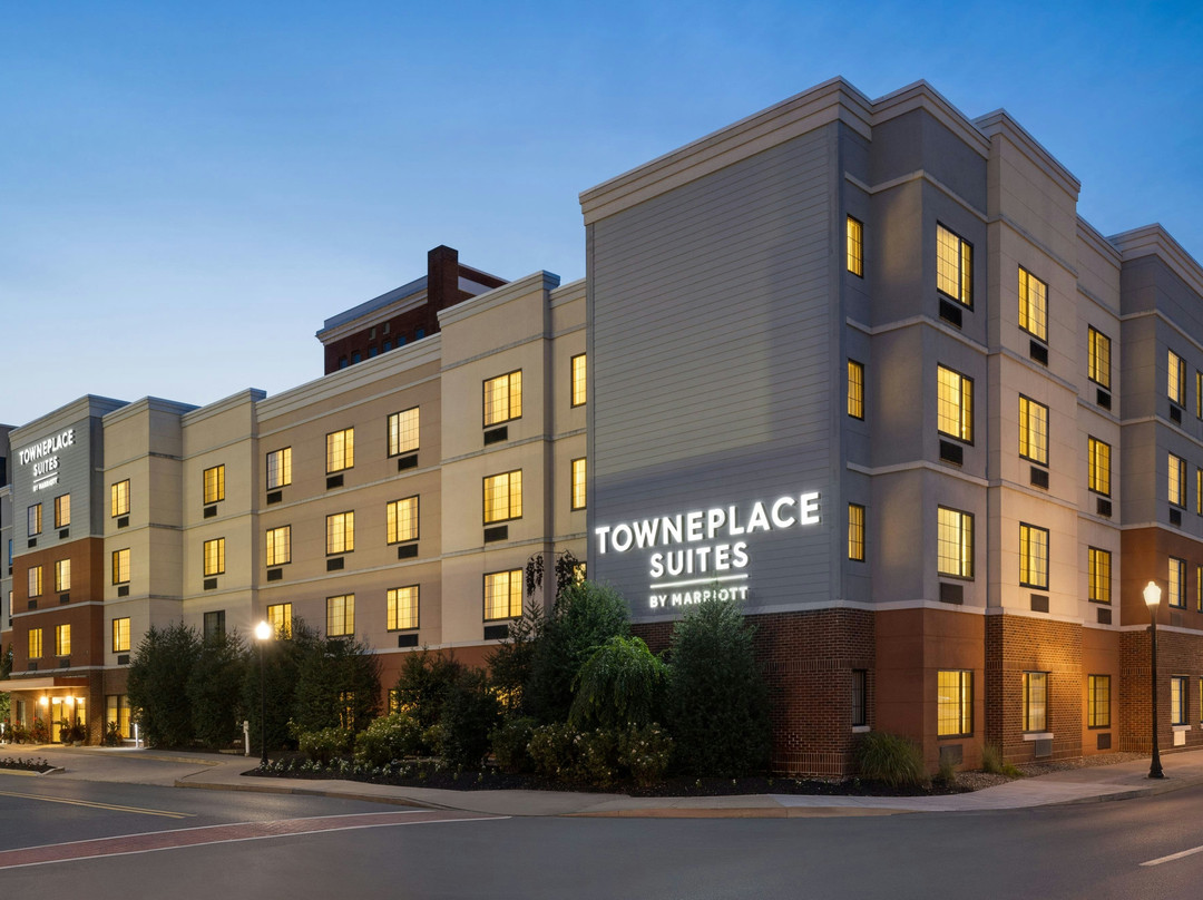 Cogan Station酒店住宿-Towneplace Suites By Marriott Williamsport Pa