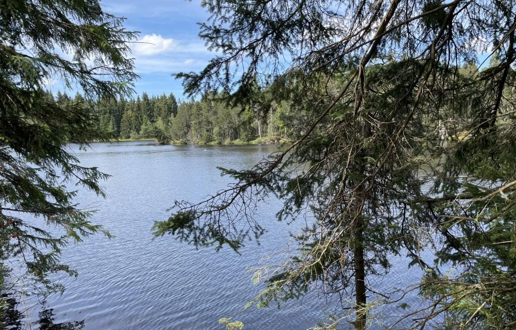 Etang de la Gruère-Saignelégier必去景点