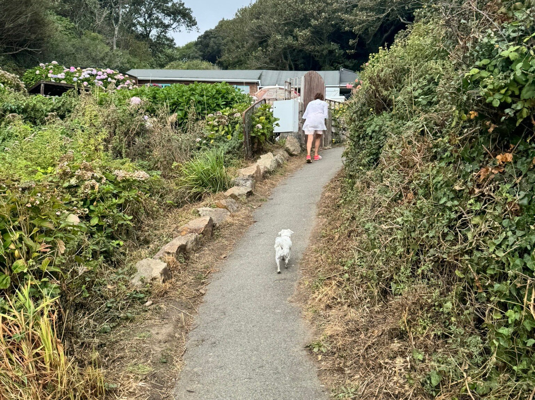 Moulin Huet Bay-St Martin必去景点