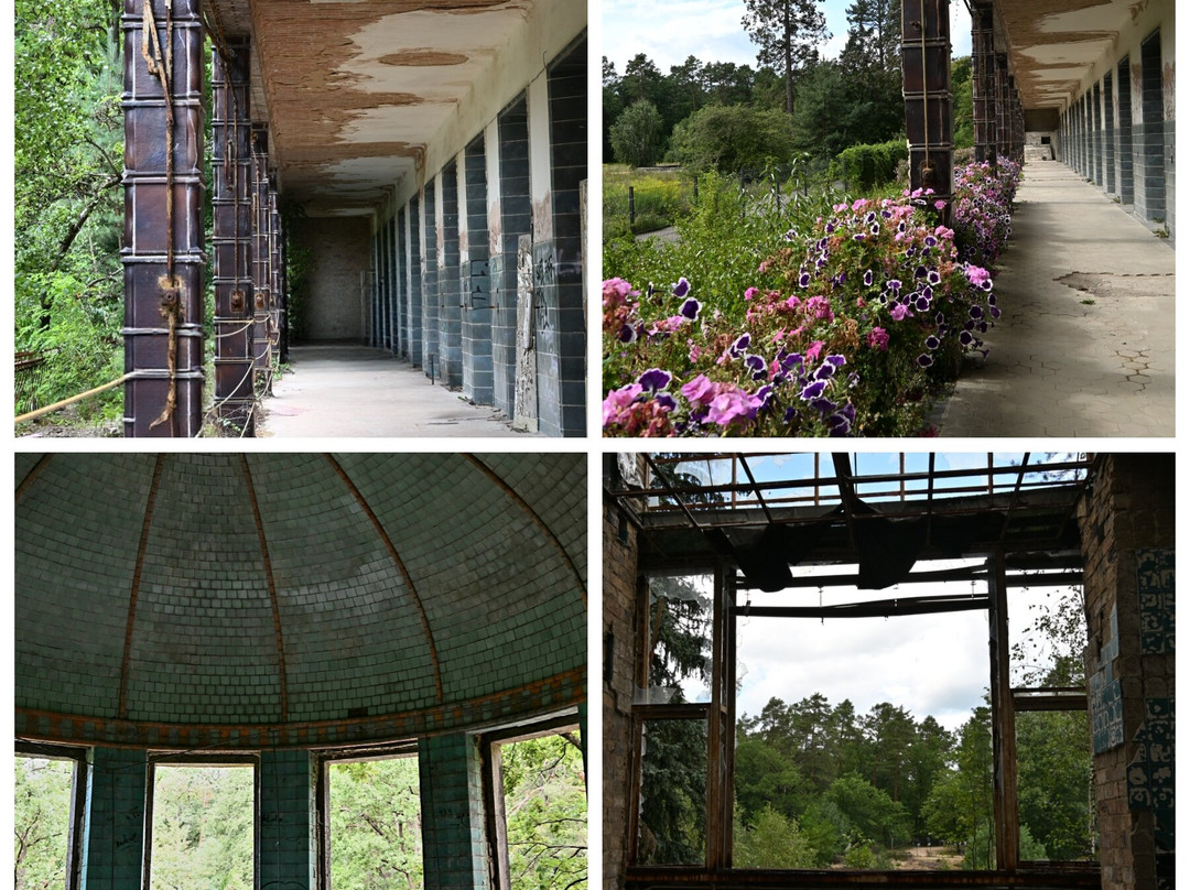 Beelitz-Heilstätten-Beelitz必去景点