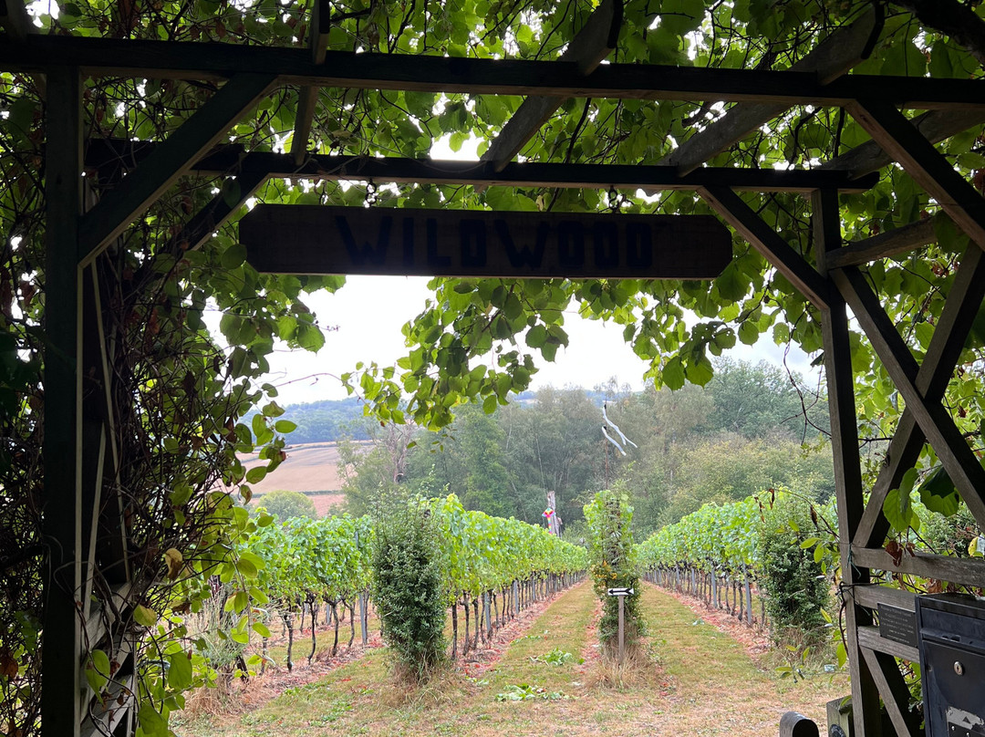Wildwood Vineyard-Eridge必去景点
