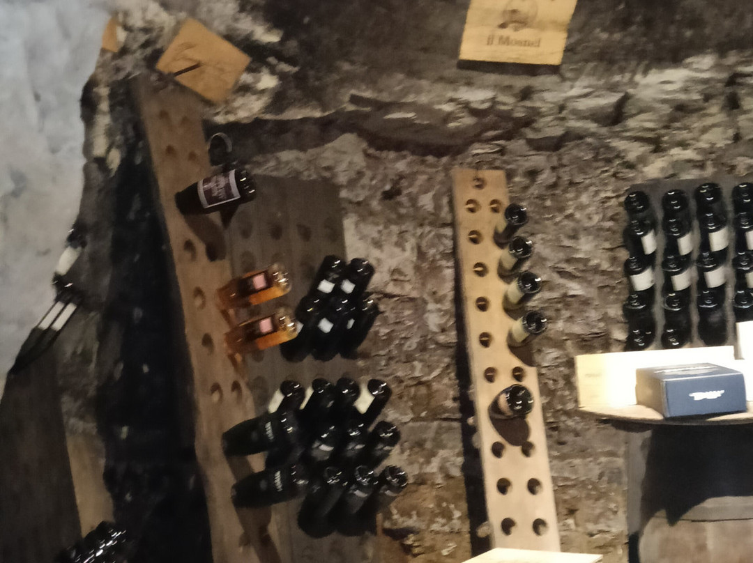 比维奥小酒馆酒店主图