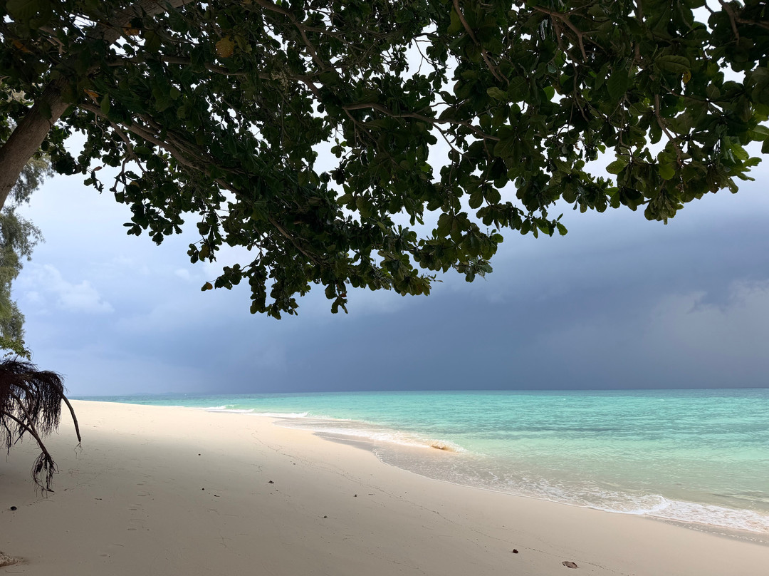 Batu Batu主图