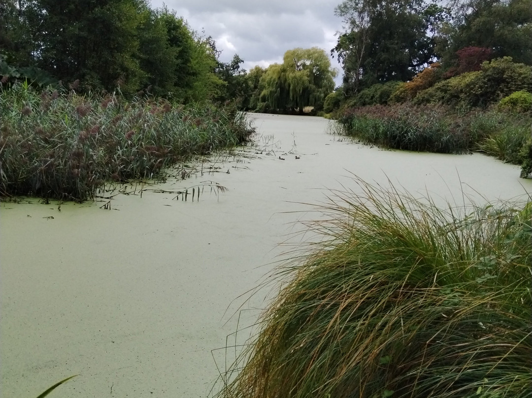 Hoveton Hall Gardens-诺威奇必去景点