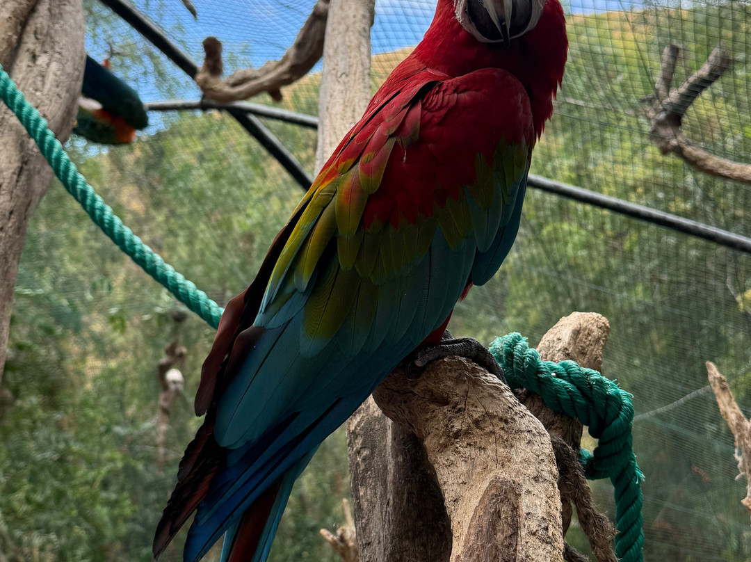 Maroparque Isla de La Palma-Brena Alta必去景点