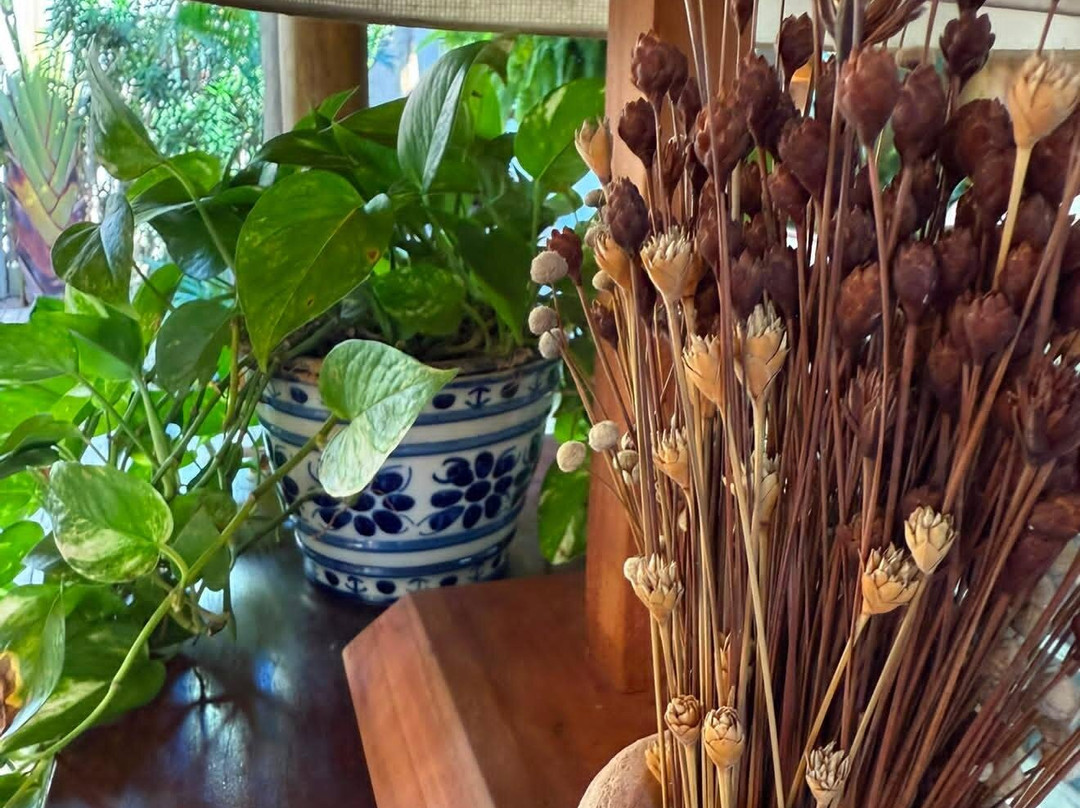 Casa Das Conchas主图