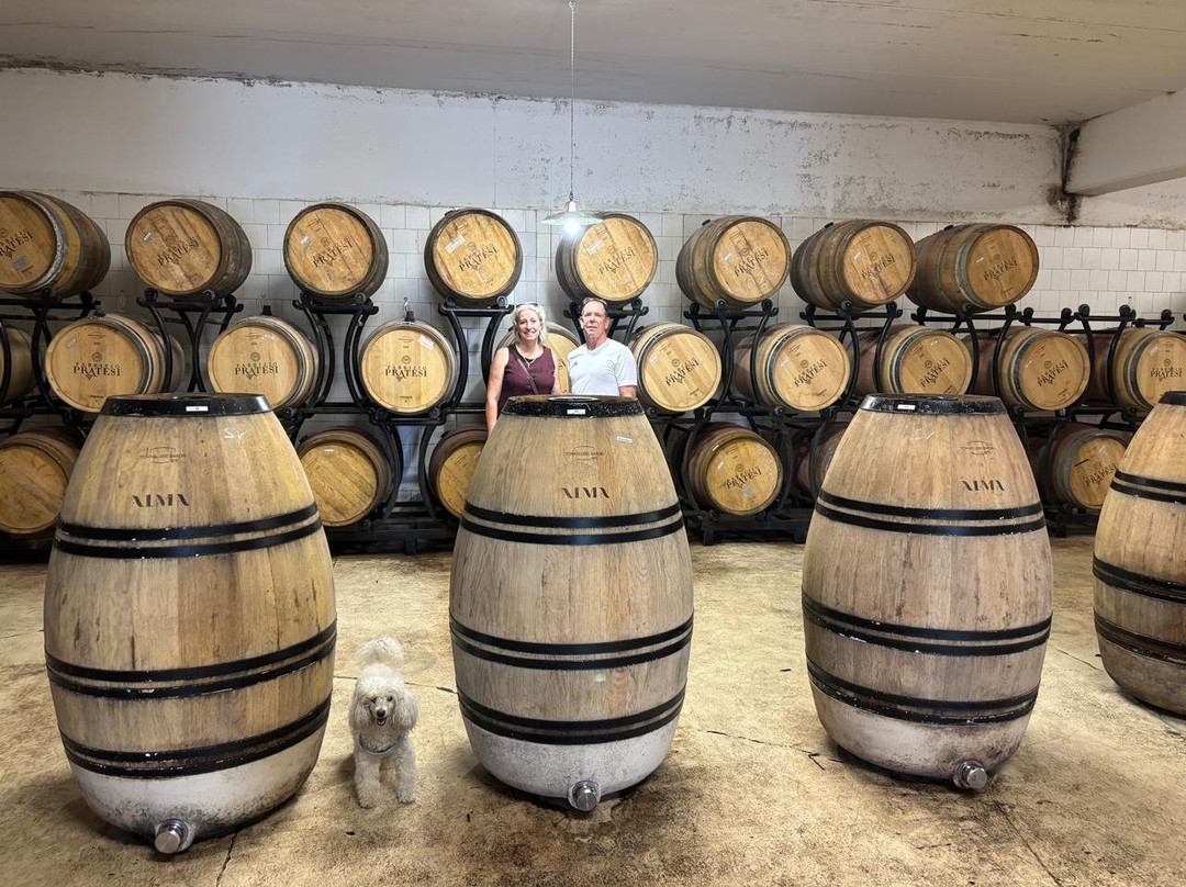 Fabrizio Pratesi Winery-Seano必去景点