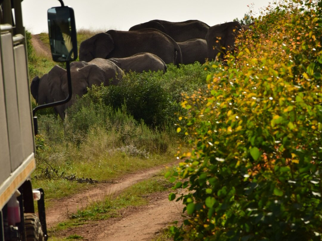 Botlierskop Private Game Reserve-莫塞尔贝必去景点