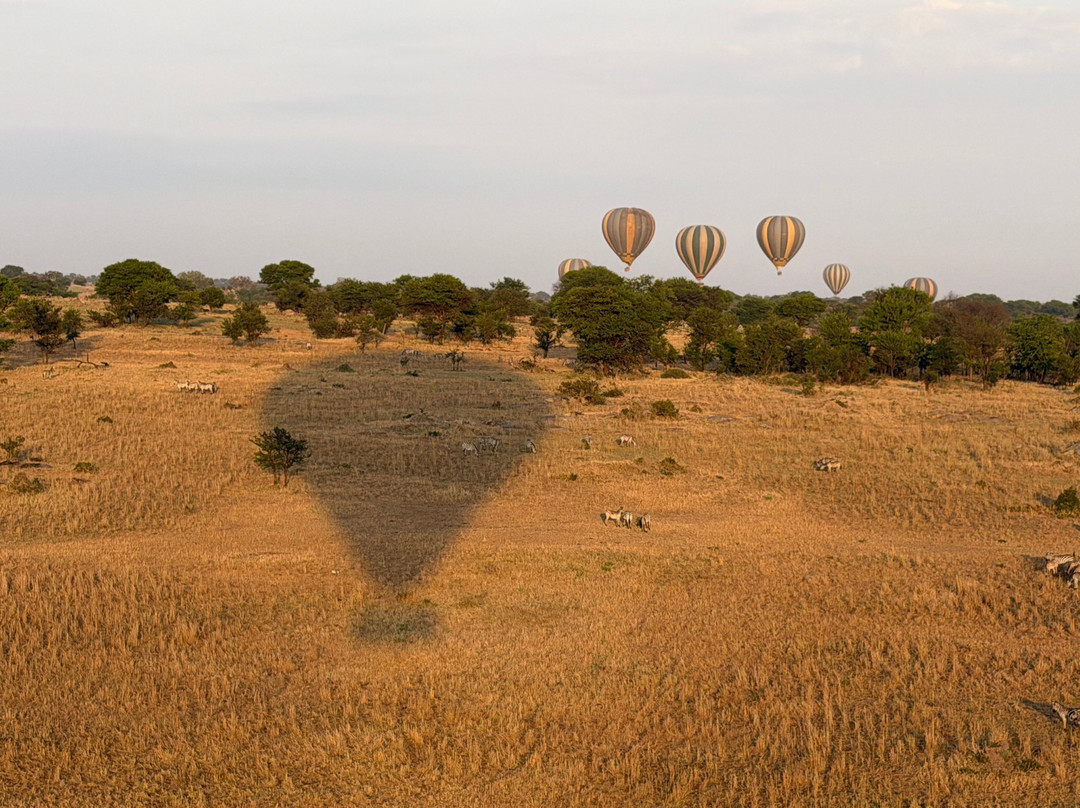 Nyssa Balloon Safaris-Seronera必去景点