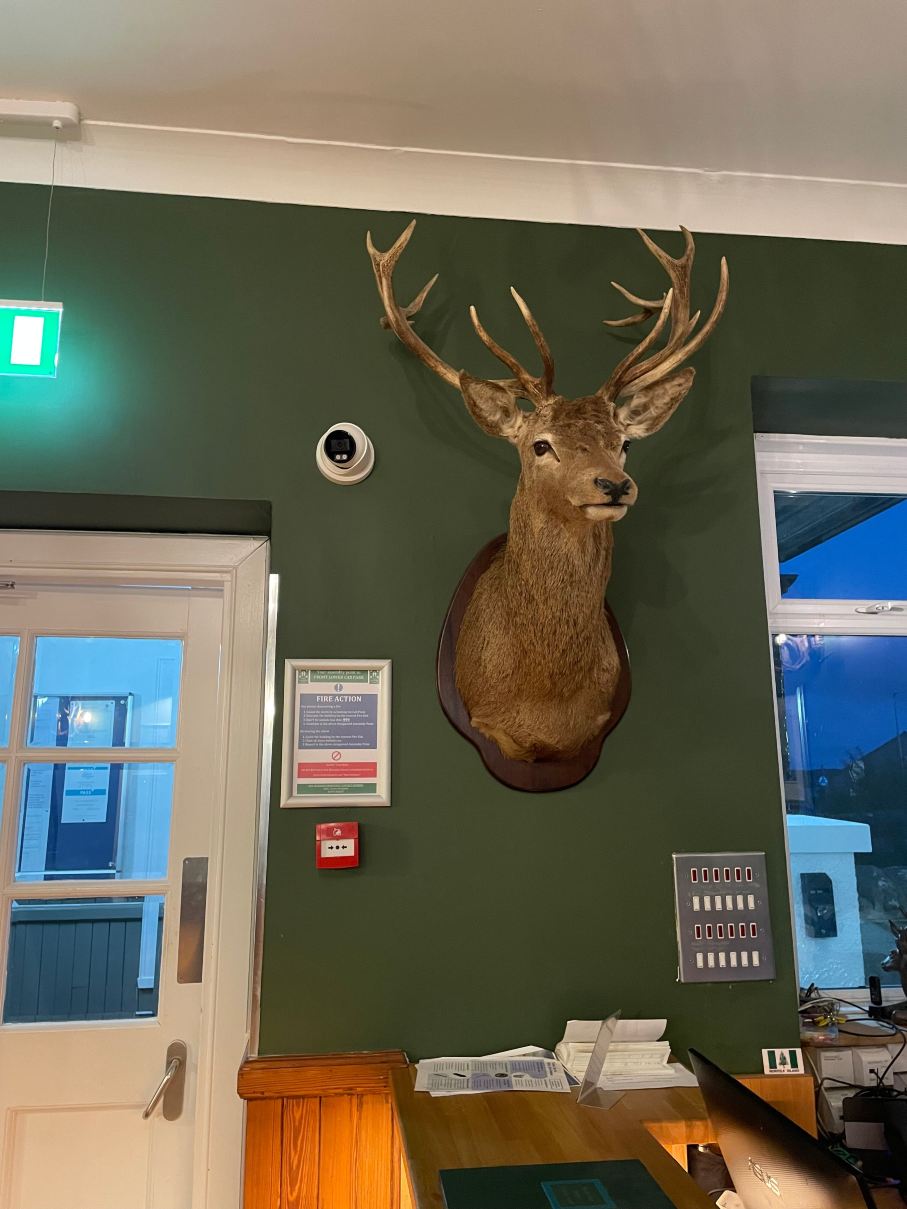 Lochmaddy Hotel-旅行者