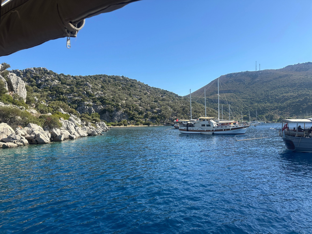 Kocabahçe koyu
