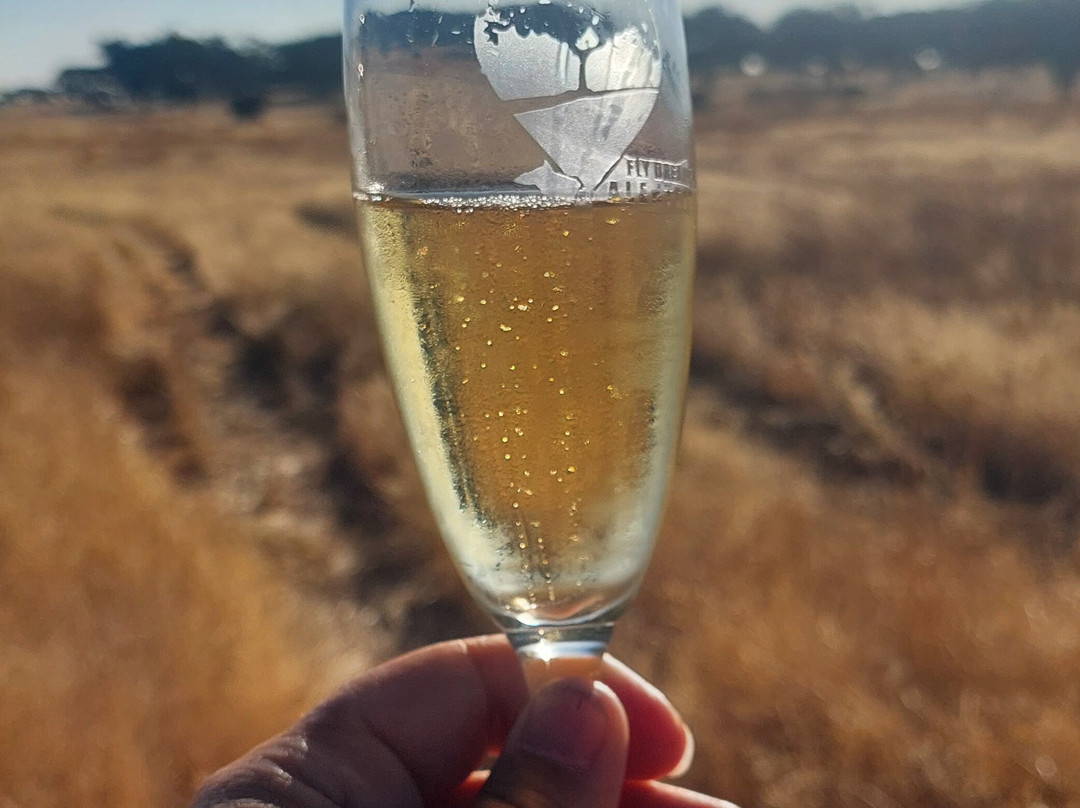 FlyDreams Alentejo-Terena必去景点
