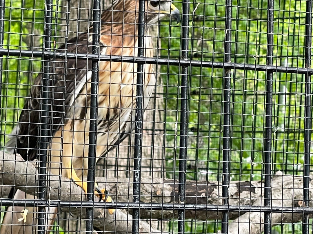 River Trail Nature Center-诺斯布鲁克必去景点