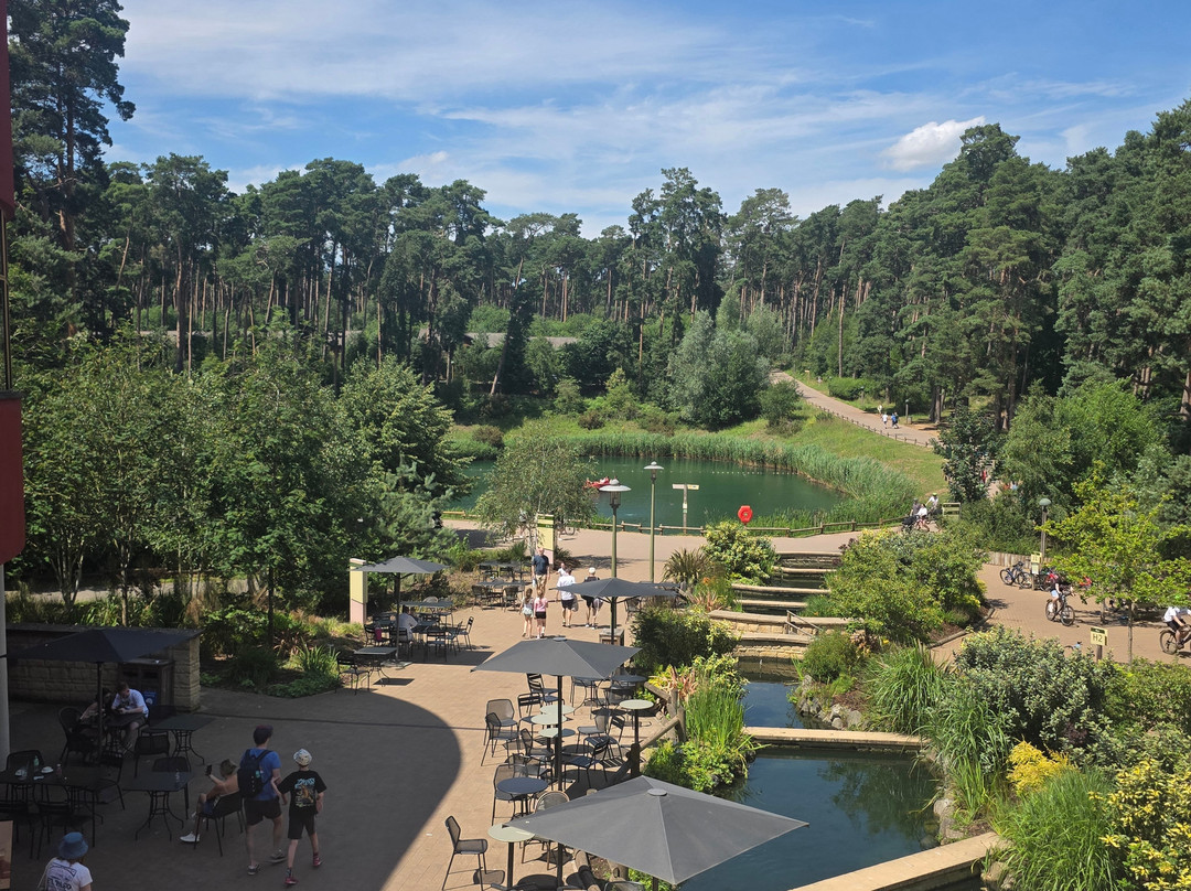 Center Parcs Woburn Forest主图