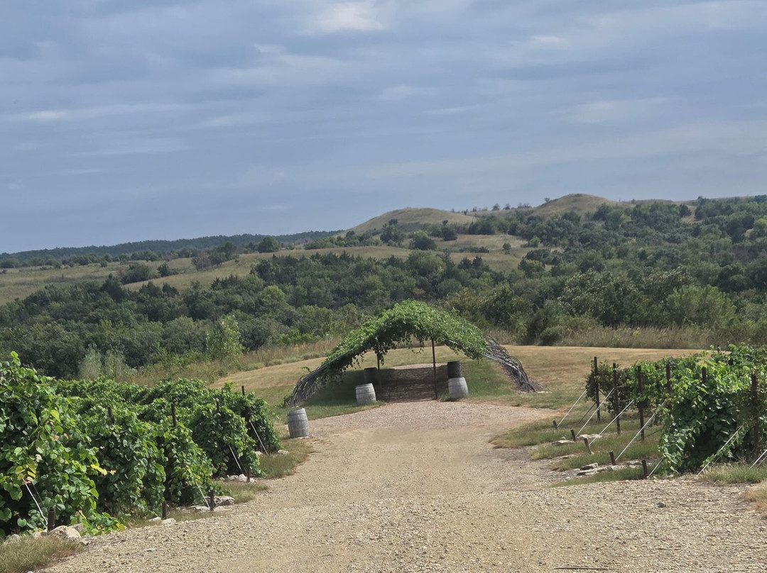 Liquid Art Winery and Estate-曼哈顿必去景点