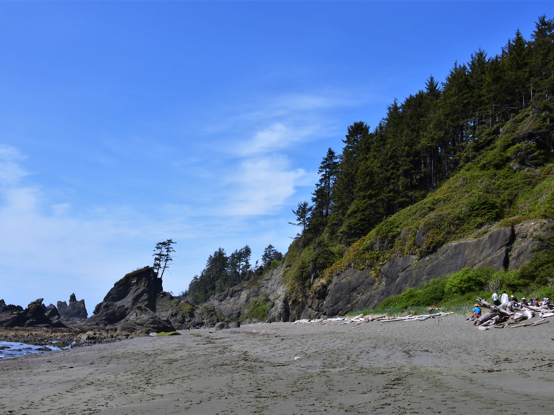 Shi Shi Beach-Clallam Bay必去景点