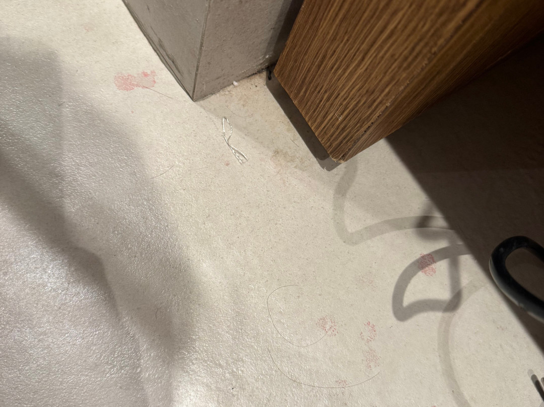 Casa Manor精品酒店主图