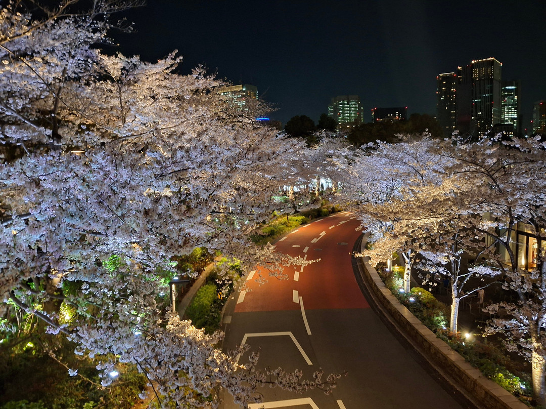 Tokyo Midtown Garden-Akasaka必去景点