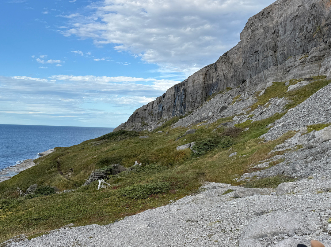 Burnt Cape Ecological Reserve-Raleigh必去景点