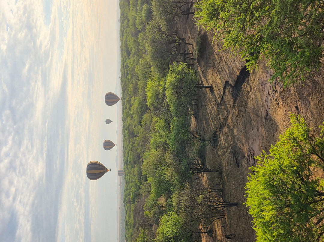 Nyssa Balloon Safaris-Seronera必去景点